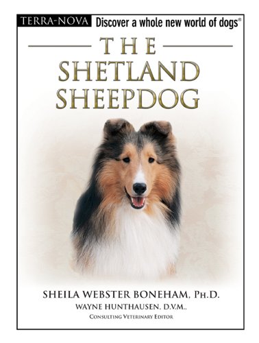 The Shetland Sheepdog (Terra-Nova)