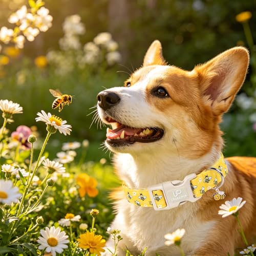 Image of Summer Bee Dog Collar, Cute Bee and Floral Pattern Cotton Adjustable Pet Collar with Durable Quick Release Buckle, Soft Lightweight for Small Medium Large Dogs