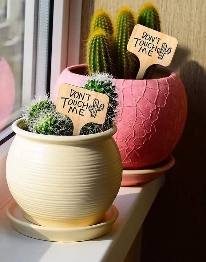 30 Etichette Per Piante Da Giardino - In Legno, Con Forme Rettangolari E A Bollitore, Per Orto E Vasi