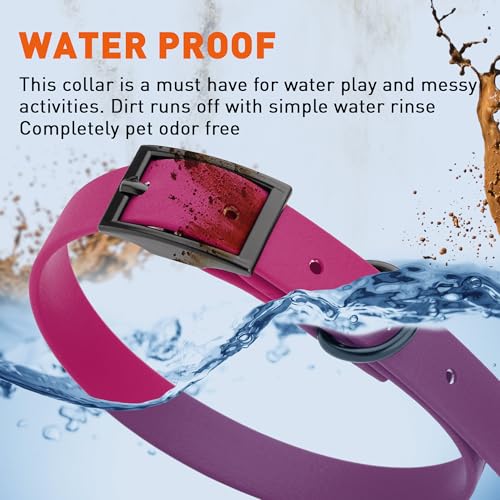Image of Dogline Biothane Waterproof Dog Collar Strong Coated Nylon Webbing with Black Hardware Odor- Proof for Easy Care Easy to Clean High Performance Fits Small Medium or Large Dogs, Magenta Pink