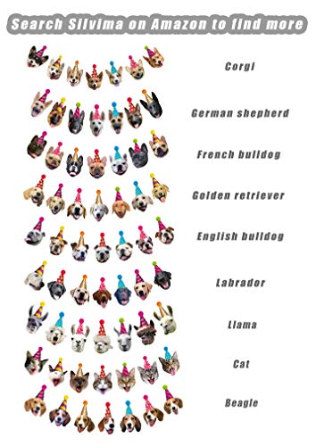 Birthday Cat Garland, Photographic Cat Faces Birthday Banner, Kitties Bday Party Bunting Decoration #TOP5