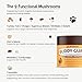 Petsmont Buddy Guard for Lumps and Bumps, Lipoma for Dogs & Cats, Patent Pending Organic 9 Mushroom Powder Blend Natural Dog Probiotic & Immune Support Chaga, Reishi, Lion's Mane, Turkey Tail Mushroom