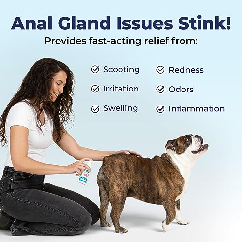 Vetnique Labs Glandex Medicated Dog Anal Gland Spray - Pain Relieving & Anti-Itch Formula to Soothe Inflamed Anal Glands in Dogs & Cats - Fast Acting Clinical Formula - Boot The Scoot (4oz) - Thumbnail 4