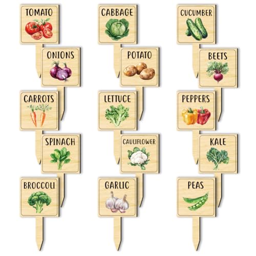 arricraft 15 Pcs Watercolor Vegetable Plant Labels, Wooden Markers T Type Tags Garden Labels with Printed Pattern Wood Garden Stakes for Indoor and Outdoor Potted Vegetable Seed