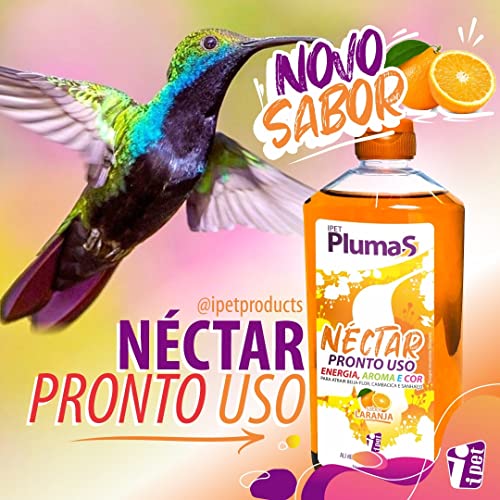Néctar Para Beija-flor Pronto Uso 500ml SABOR LARANJA Ipet
