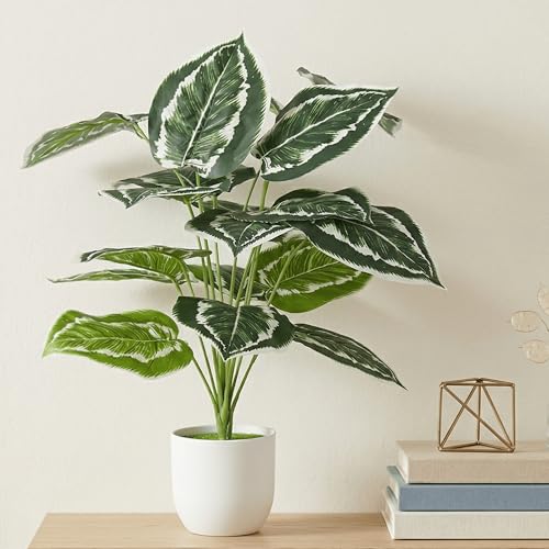 Image of Dekorly Fake Plants Artificial Floor Plants Large Tropical Palm Tree Tall Monstera in Pot for Indoor Outdoor Home. (Calathea, 2ft 2in)