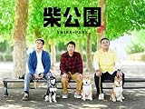 柴公園