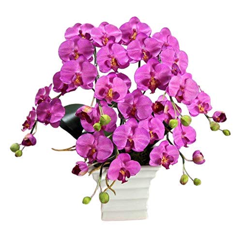 Ӓ  G}  Mtg v[g A   3{ oCIbg yMtgbsNEMtgJ[hΉz