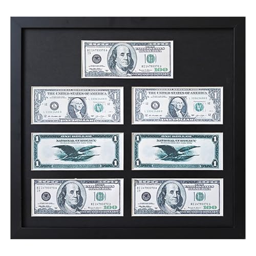 Multi-Dollar Picture Frame,Dollar Bill Frame,Dollar Bill Holder,14X15 Frame for Dollar Bill Display Case,Currency Display Frame for 7 Sheets Money Ticket Picture,Easel Stand and Wall Hanger Included