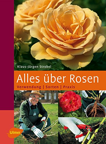 Alles über Rosen: Verwendung - Sorten - Praxis