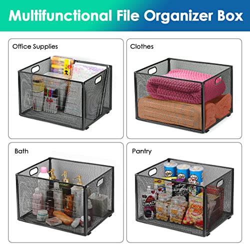Maxgear Hanging File Organizer Box, Mesh File Folder Organizer For Letter/Legal Size Folders Metal File Folder Box With Handles File Crate Storage Box For Office Supplies, Clothes, Pantry, Bath-Black #TOP4