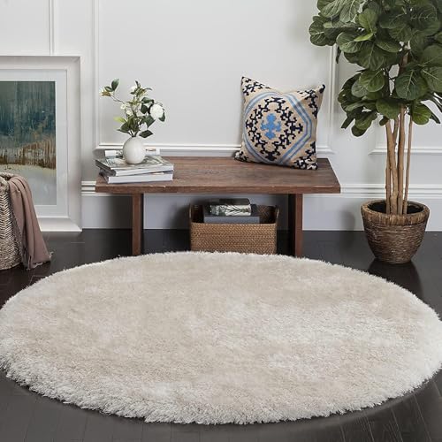 Image of Plush Shag Area Rug for Living Room, 244 cm x 305 cm, Brown (Ivory, 4X4 FEET)