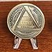 MYRECOVERYSTORE AA Coin with Roman Numeral Alcoholics Anonymous (1-60 Years) Year 37
