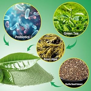 Teeth-Cleaning-Powder-for-Dogs-Dog-Breath-Freshener-Dental-Powder-for-Dogs-Teeth-with-Probiotics-Help-Reduce-Bad-Breath-Plaque-Tartar-Remover-Dog-Tooth-Powder-for-Small-Medium-Large-Dogs-50g - Cucciolini Doodles   Teeth-Cleaning-Powder-for-Dogs-Dog-Breath-Freshener-Dental-Powder-for-Dogs-Teeth-with-Probiotics-Help-Reduce-Bad-Breath-Plaque-Tartar-Remover-Dog-Tooth-Powder-for-Small-Medium-Large-Dogs-50g