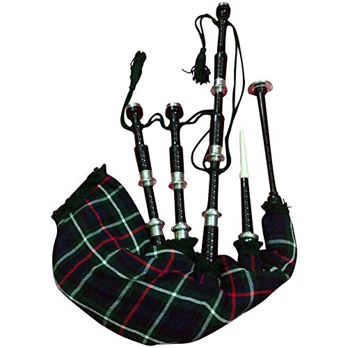 Scottish Great Highland Cornamuse in palissandro