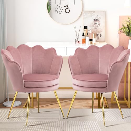 Czlolo Accent Chairs Set of 2, Velvet Vanity Chair with Back, Mid-Century Modern Small Accent Chair for Living Room, Golden Metal Legs Upholstered Makeup Chair, Bedroom Armchair, Pink