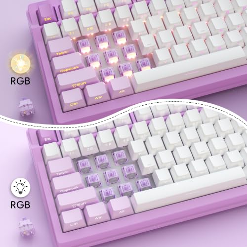Image of Kailh Box MX Purple Switches for Mechanical Keyboard,5-Pin Tactile /Factory Lubed Switches(72Pcs)