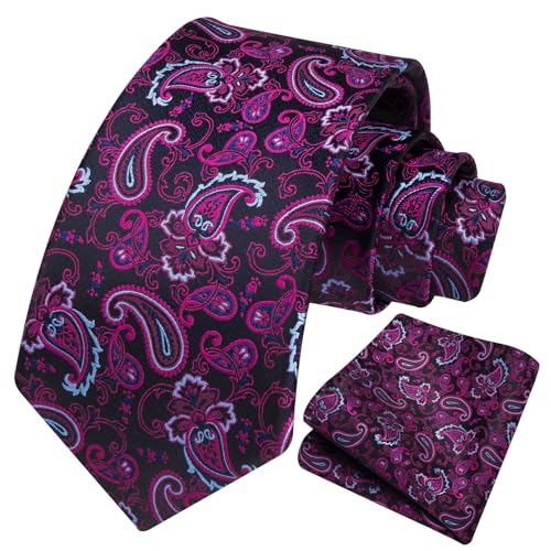 Image of HISDERN Ties for Men Paisley Tie and Pocket Square Woven Classic Floral Mens Ties Handkerchief Set Wedding Party Necktie