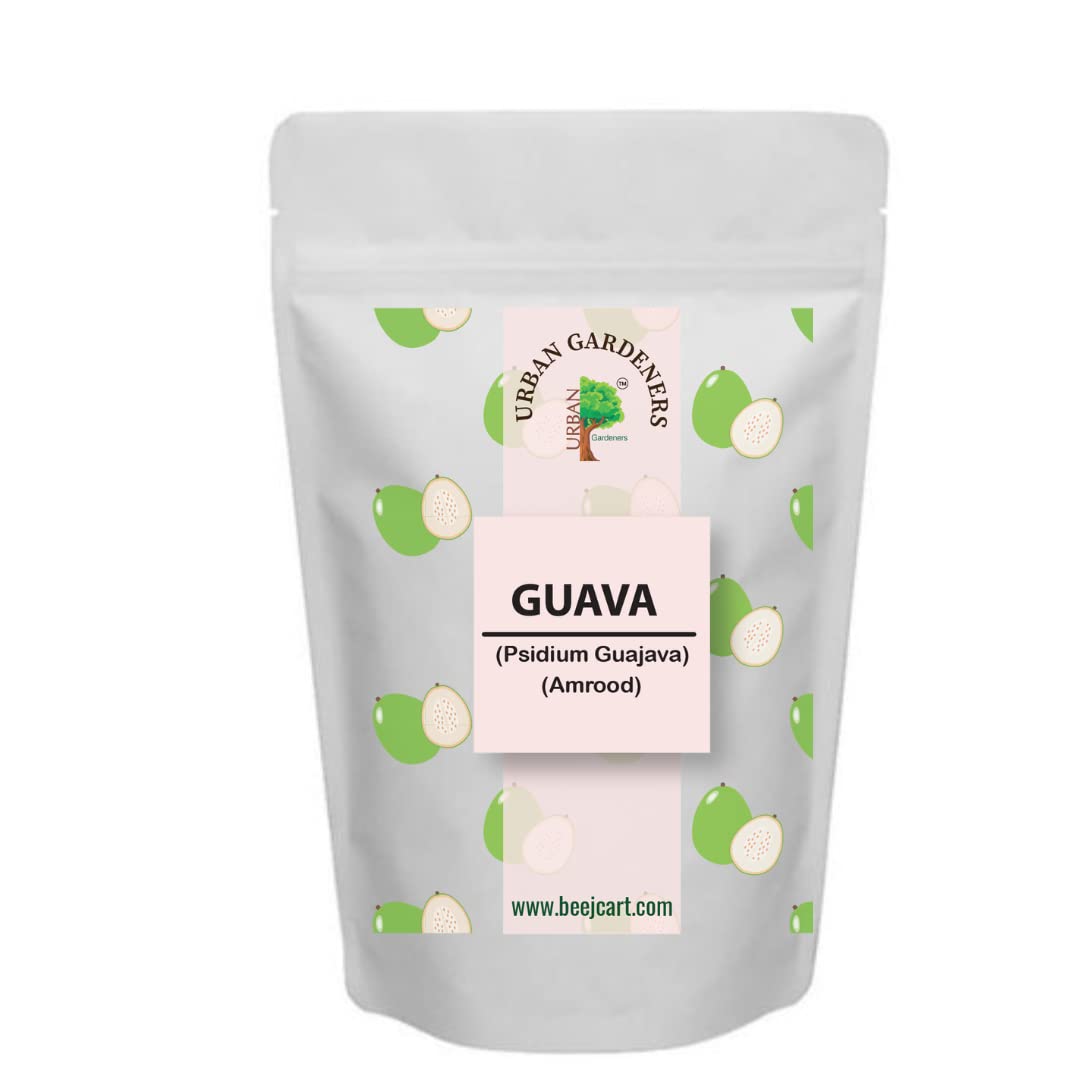 See full amazon price history chart for Urban Gardeners Organic Guava Seeds (Amrut) for Planting - 100Gms Urban Gardeners Organic Guava Seeds (Amrut) for Planting - 100Gms (B07P6WFDL2) Amazon Price History, Amazon Price Tracker