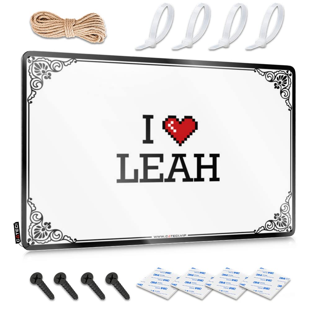 Kitchen Decorations Haves Vintage Poster - I Love Leah Sleek Metal Wall Art Ready To Hang For Farm(30X40CM)