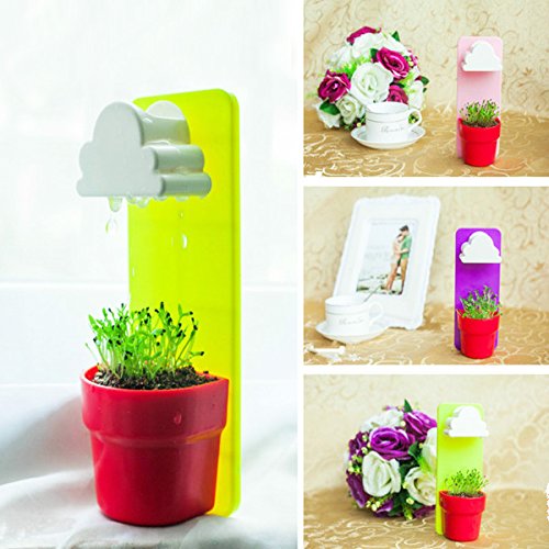 Generic Plastic Creative Clouds Rainy Pot Wall-Hung Flower Pot Set