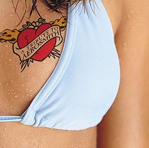 Tribute To Aerosmith