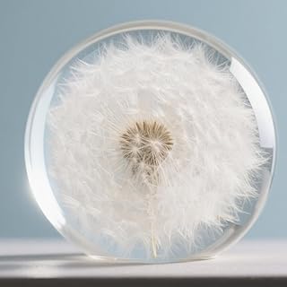 Collectible Real Dandelion Sphere, Glass & Resin, 3D Preserved Flower Paperweight, 2.56in, Birthday/Wedding/Valentine’s Day Gifts