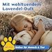 bio-chem Geruchsentferner Set | Hunde-Spray 750 ml + Wäschespülung 1L | Mikrobiologisch & effektiv | Gegen Tiergeruch auf Textilien & Oberflächen