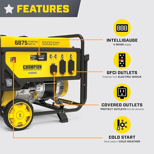 Champion Power Equipment 6875-Watt Portable Generator with CO Shield - Image 3