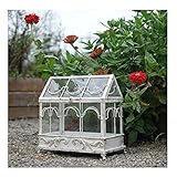 invernadero mini tunel Cultiva tus propias hierbas: utiliza el terrario como alojamiento para las hierbas de tu cocina. Colóquelo al sol en el alféizar de una ventana o una mesa para crear un efecto invernadero. Este terrario de invernadero de mesa se abrirá desde la parte superior, por lo que es fácil de llenar con plantas y proporcionarles agua.
