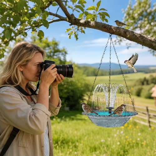 Bol d'eau de douche à suspendre solaire pour abreuver les petits oiseaux