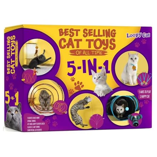 5-in-1 Interactive Cat Toy Set