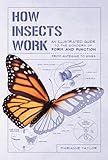 How Insects Work: An Illustrated Guide to the Wonders of Form and Function from Antennae to Wings