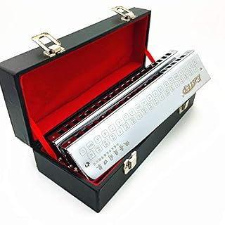 WEIXIAO WLKH T1-2EastTop 29 Trou Double rangée Basse Harmonica Bande Professionnelle Jouer à la Musique Instrument… - Les Beatles, Paul McCartney, John Lennon, RIngo Starr, George Harrison WEIXIAO WLKH T1-2EastTop 29 Trou Double rangée Basse Harmonica Bande Professionnelle Jouer à la Musique Instrument… – Image 5