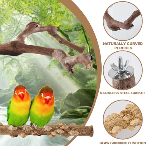 LIMIO 6-Piece Bird Perch Set - Natural Wood Grape Sticks, Paw Grinding Forks, Bird Stand & Toys for Parakeets, Cockatiels, Conure, Budgies - Image 4