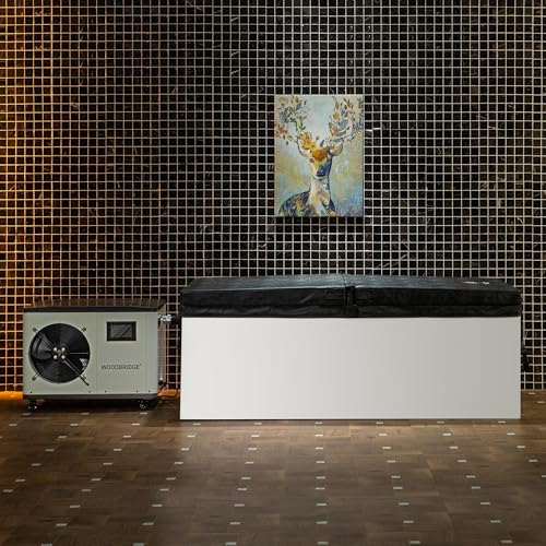 WOODBRIDGE 67 Acrylic Cold Plunge Ice Tub with Chiller