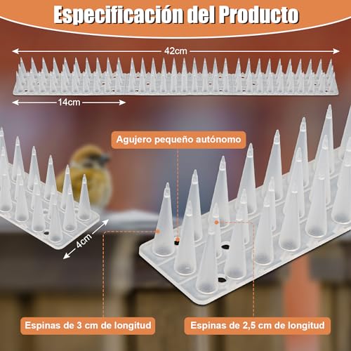 Imagen adicional
