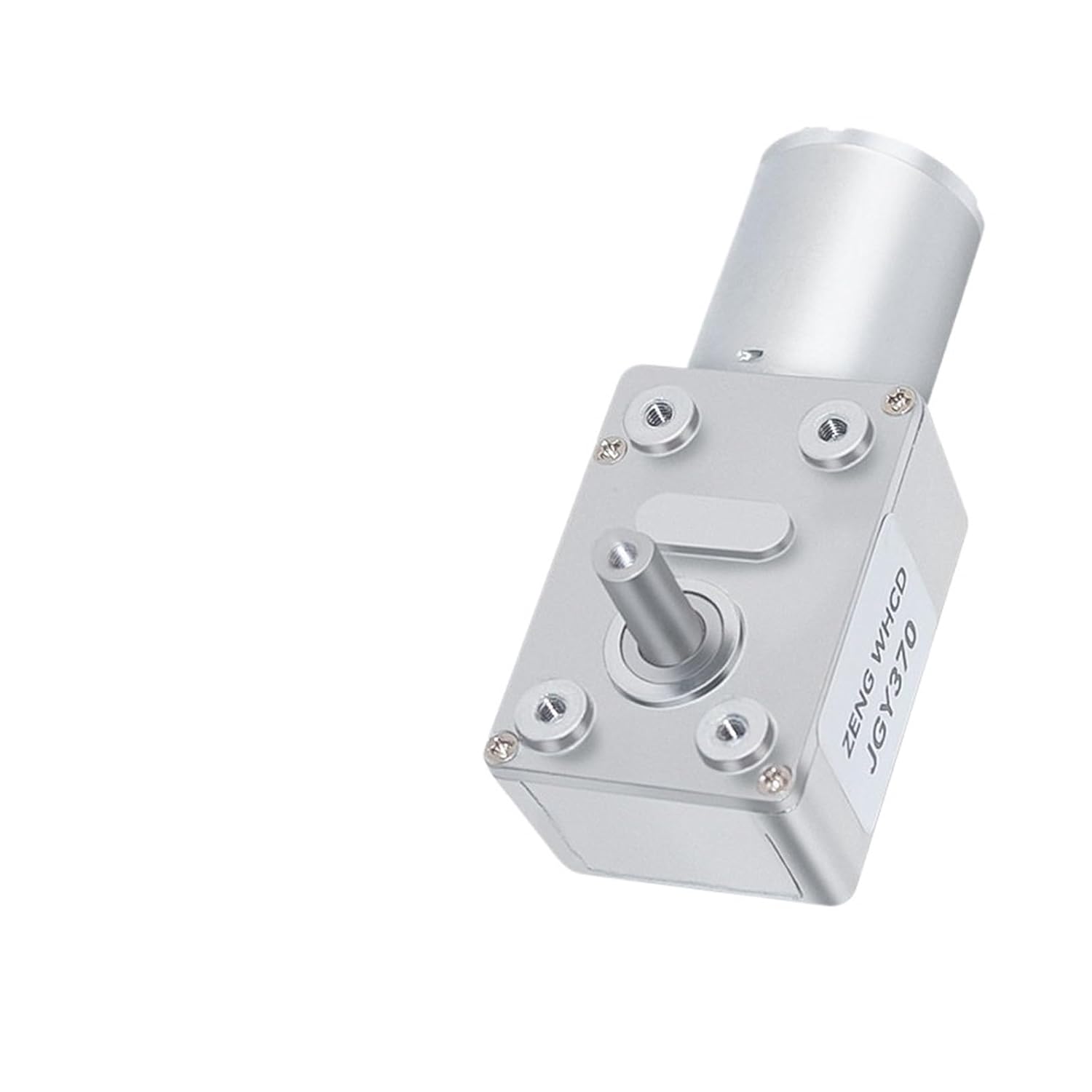 ◇チベット密教法具 法螺貝（シャンカ）ミラレパ-1 ◇チベット密教法具