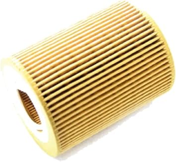 Land Rover Genuine Parts LR001419 Oil Filter Element W/O-Ring - LR2