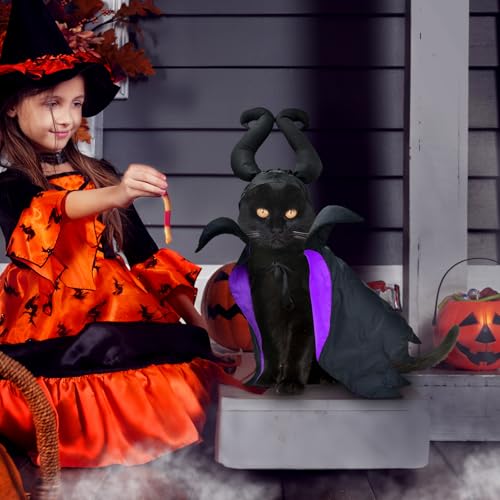 Disfraz de Bruja para Perro y Gato Halloween Talla Única miniatura 3