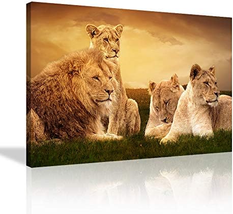 KALAWA Animal Family Pictures Canvas Wall Art for Home Decor Wild Lioness and Lion on The Prairie Prints and Posters Stretched and Wooden Framed Ready to Hang(28''W x 44''H)
