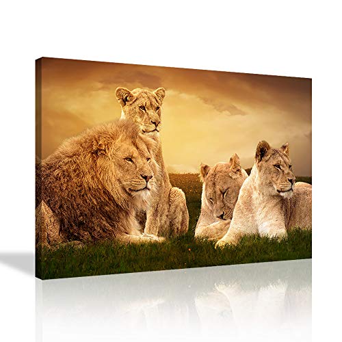 Kalawa Animal Family Pictures Canvas Wall Art For Home Decor Wild Lioness And Lion On The Prairie Prints And Posters Stretched And Wooden Framed Ready To Hang(28''W X 44''H) #TOP11