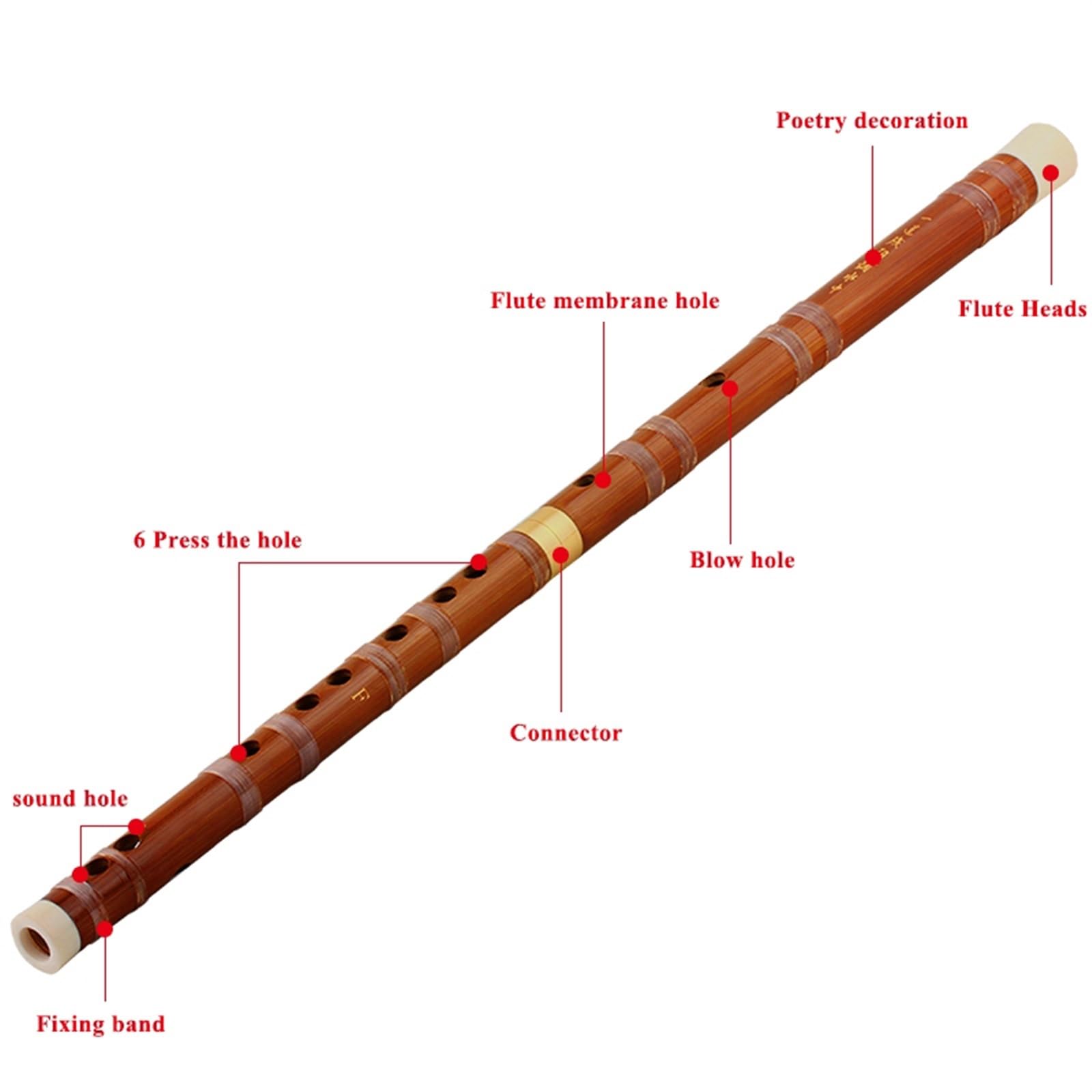 Amazon | 竹笛伝統楽器 専門学生および初心者向けの一般 中国の伝統