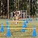 TNZMART Dog Agility Hurdle Cones Pet Jump Training Set Dog Agility Course Backyard Set Adjustable Obstacle Training Set (Blue, 6 Sets)