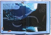 Hide And Seek Night Time Animals 1847509983 Book Cover