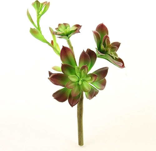 Shinoda Design Center - Tallo para suculentas (3.7in, 4 unidades), color verde