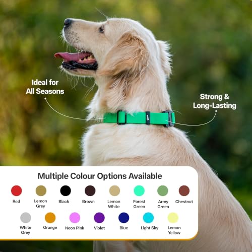 Image of Adil's Biothane Waterproof Dog Collar, Dog Leash & Collar Leash Combo | Heavy Duty TPU Coated Webbing | Adjustable Quick Release Buckle | Odour Resistant (Forest Green, L-22, Collar only)