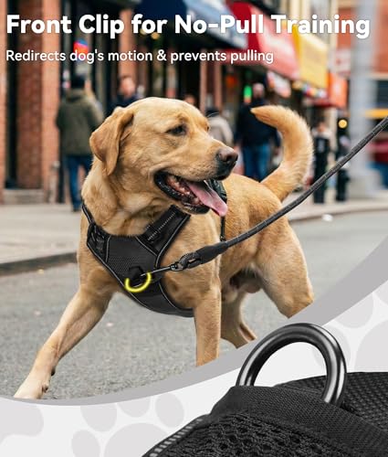 Joytale No Pull Dog Harness Medium Sized Dog, Front Clip, Black | Grab Handle for Instant Control, Padded & Adjustable Vest, Sturdy Metal D-Rings, for Safe Training & Daily Walking - Image 3