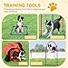 DWVO Dog Agility Accessories Kit: Comprises of a Teaser Pole, 3 Hurdles, 3 Flying Discs, 6 Weaving Poles, 2 Agility Tunnels, Pause Box, Full Set of Agility Equipment for Backyard Indoors Outdoors