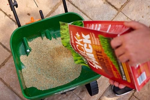 Scotts Turf Builder Quick + Thick Tough & Resilient Grass Seed Mix, 1.2kg (167 sq Meters / 1,805 sq feet Coverage) | Resilient Mix for Active Yards, Pets & Pests - 2